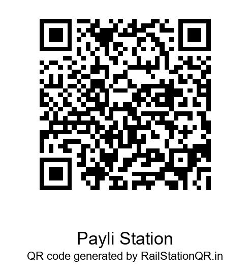 Payli QR Code